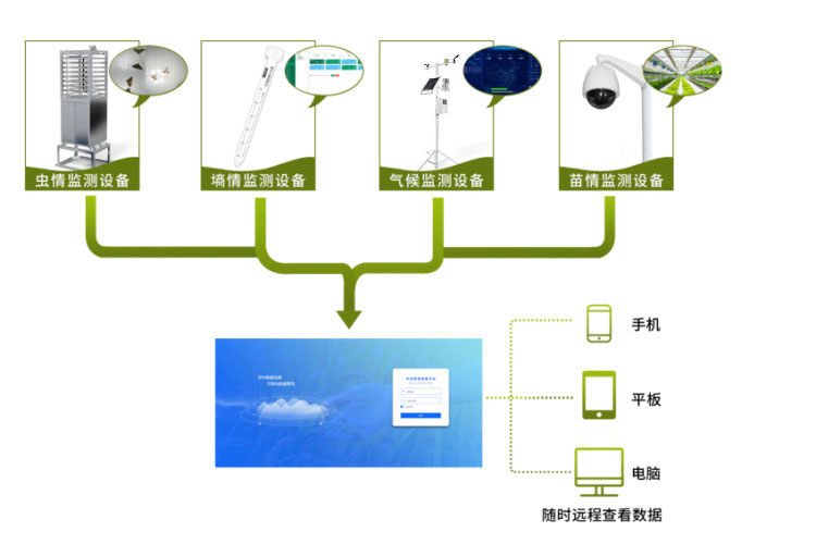 大田四情監(jiān)測(cè)預(yù)警系統(tǒng)